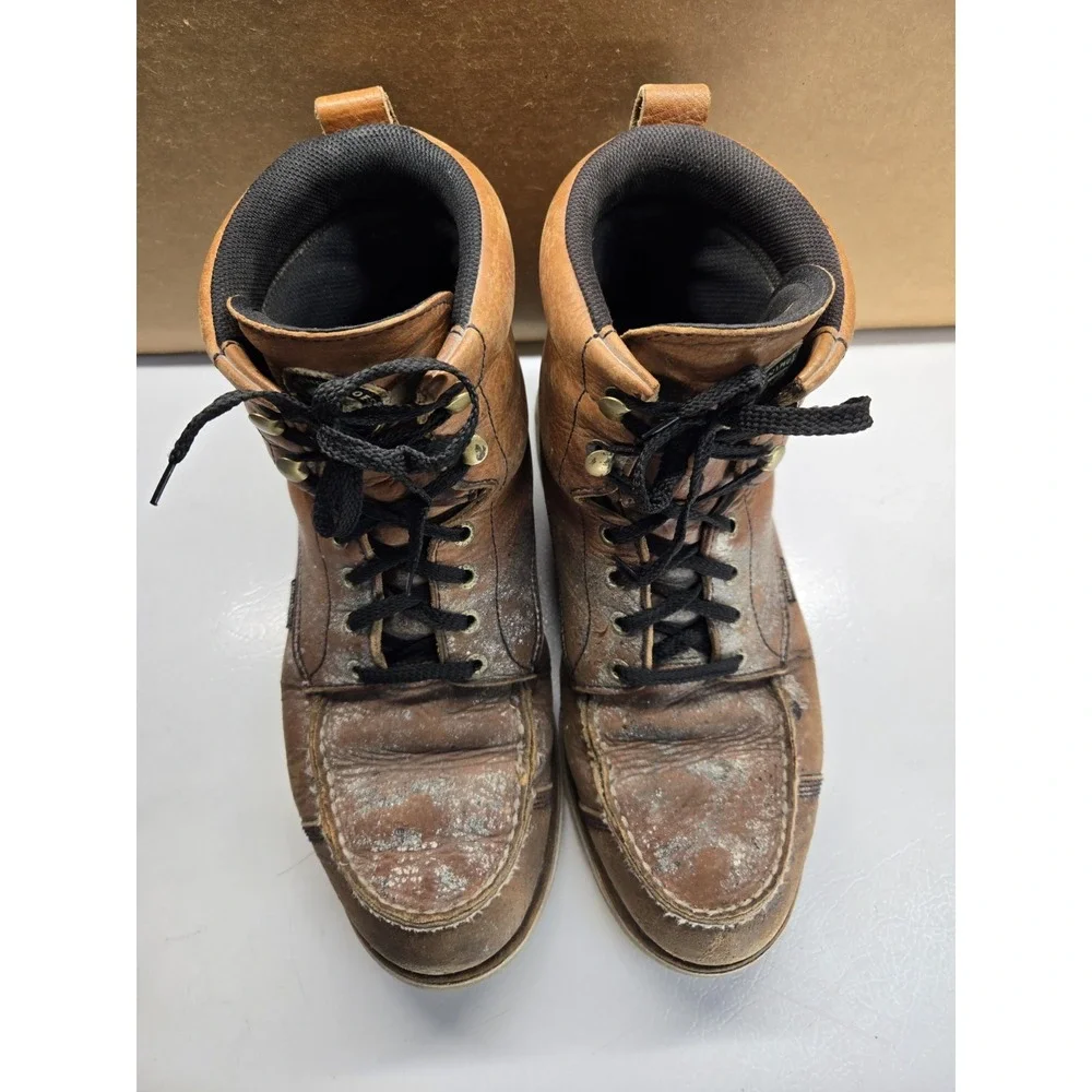 Irish Setter red wing